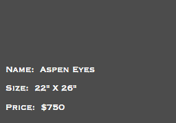 &nbsp;Name: Aspen Eyes Size: 22" X 26" Price: $750