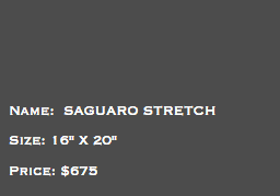 &nbsp;Name: SAGUARO STRETCH Size: 16" X 20" Price: $675