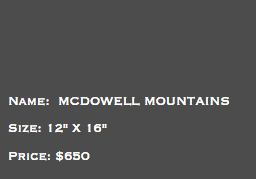 &nbsp;Name: MCDOWELL MOUNTAINS Size: 12" X 16" Price: $650