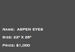 &nbsp;Name: ASPEN EYES Size: 22" X 26" Price: $1,000